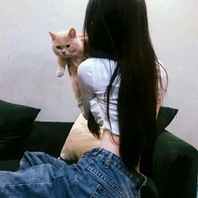 铁翼惊情